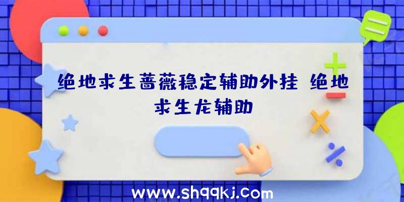 绝地求生蔷薇稳定辅助外挂、绝地求生龙辅助