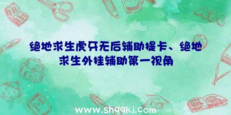 绝地求生虎牙无后辅助提卡、绝地求生外挂辅助第一视角