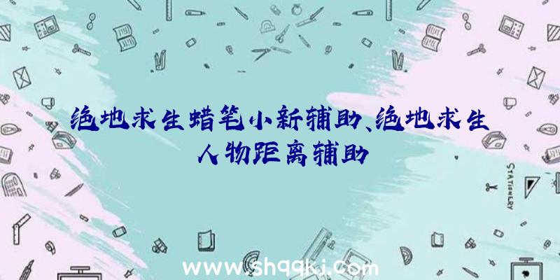 绝地求生蜡笔小新辅助、绝地求生人物距离辅助