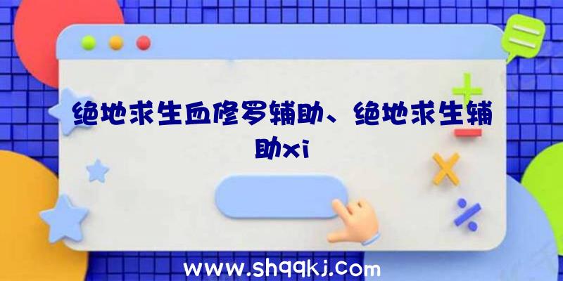 绝地求生血修罗辅助、绝地求生辅助xi