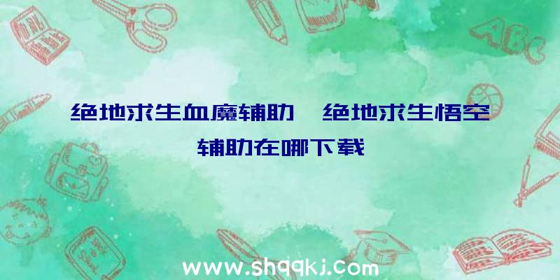 绝地求生血魔辅助、绝地求生悟空辅助在哪下载