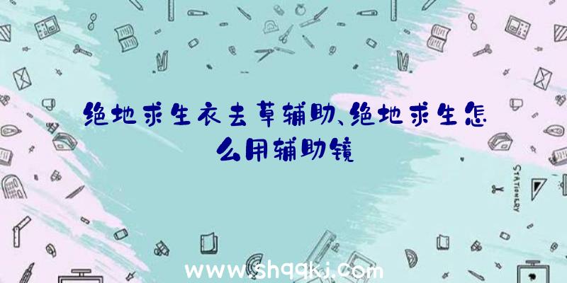 绝地求生衣去草辅助、绝地求生怎么用辅助镜