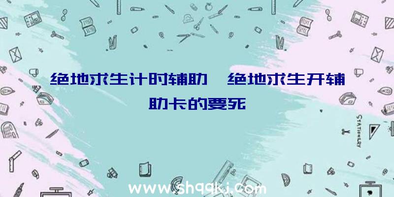 绝地求生计时辅助、绝地求生开辅助卡的要死