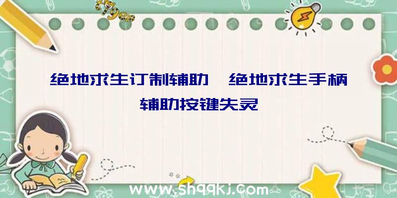 绝地求生订制辅助、绝地求生手柄辅助按键失灵