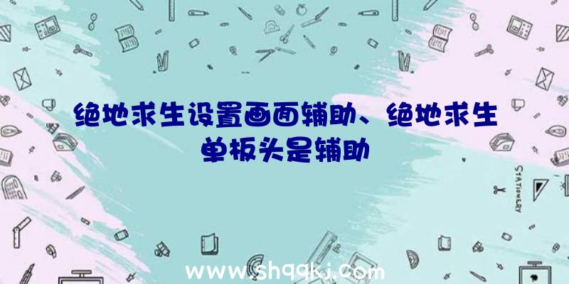 绝地求生设置画面辅助、绝地求生单板头是辅助