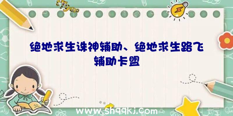 绝地求生诛神辅助、绝地求生路飞辅助卡盟