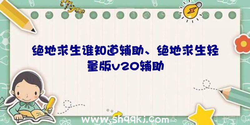 绝地求生谁知道辅助、绝地求生轻量版v20辅助