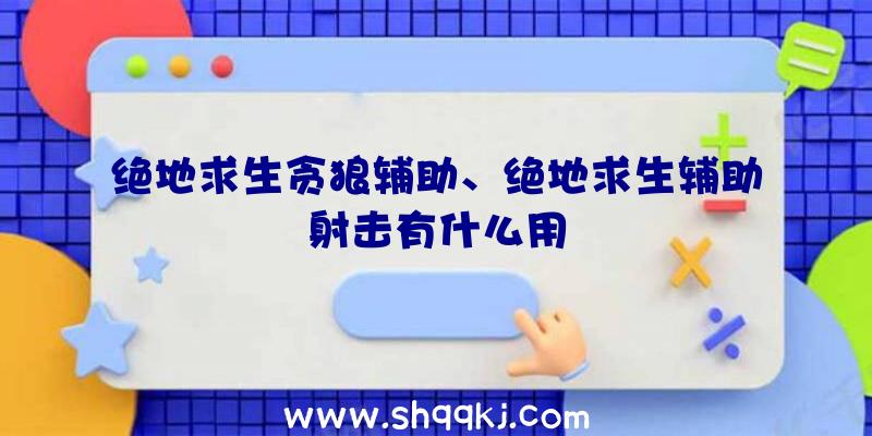 绝地求生贪狼辅助、绝地求生辅助射击有什么用