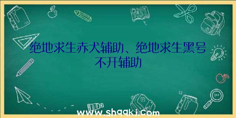 绝地求生赤犬辅助、绝地求生黑号不开辅助