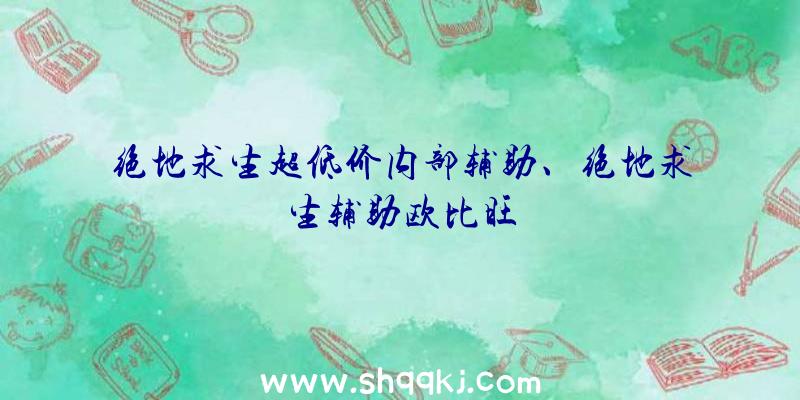 绝地求生超低价内部辅助、绝地求生辅助欧比旺