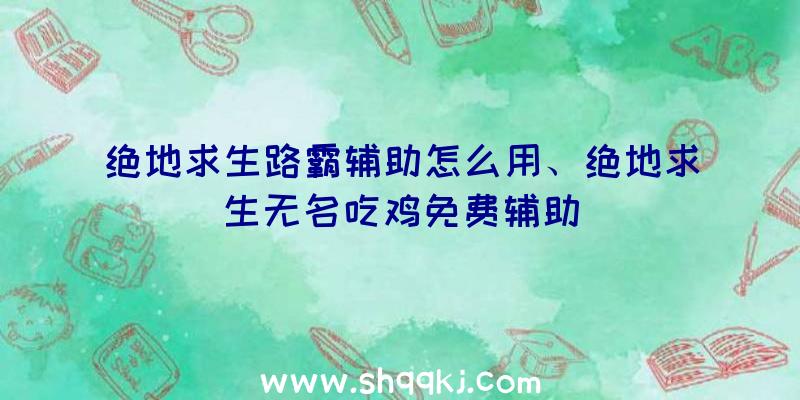 绝地求生路霸辅助怎么用、绝地求生无名吃鸡免费辅助