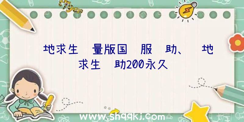 绝地求生轻量版国际服辅助、绝地求生辅助200永久