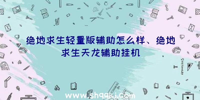 绝地求生轻量版辅助怎么样、绝地求生天龙辅助挂机