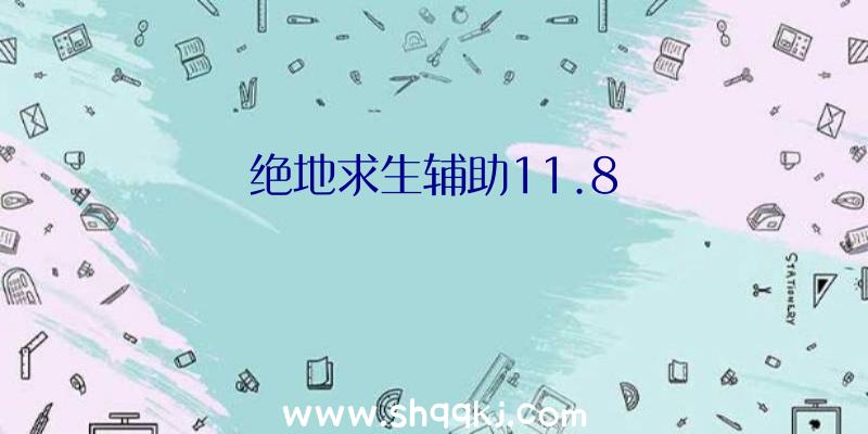 绝地求生辅助11.8