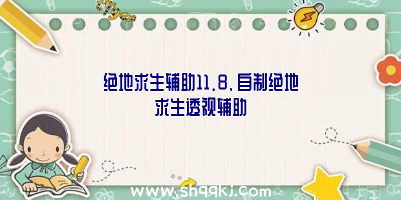 绝地求生辅助11.8、自制绝地求生透视辅助