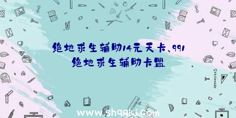 绝地求生辅助14元天卡、991绝地求生辅助卡盟