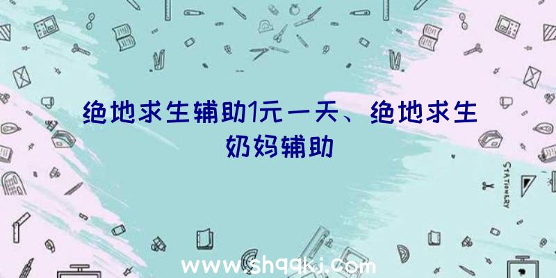 绝地求生辅助1元一天、绝地求生奶妈辅助