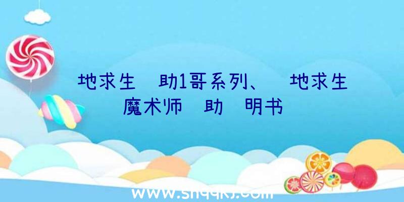 绝地求生辅助1哥系列、绝地求生魔术师辅助说明书