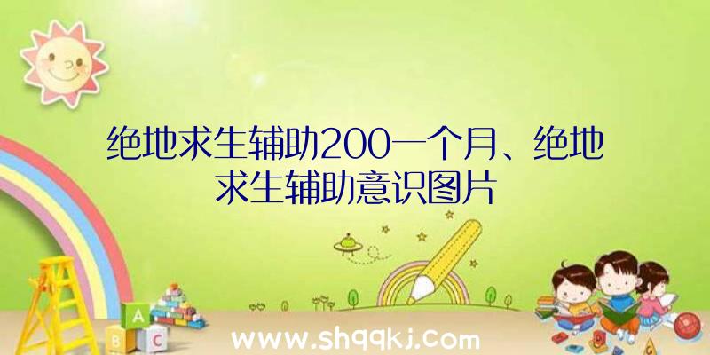 绝地求生辅助200一个月、绝地求生辅助意识图片