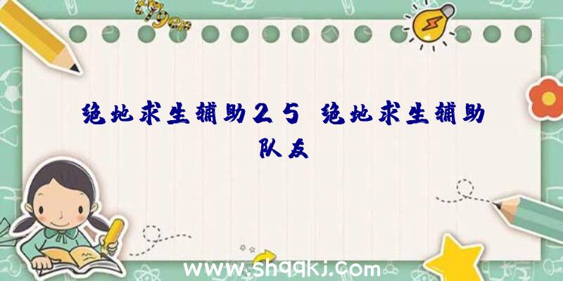 绝地求生辅助25、绝地求生辅助队友