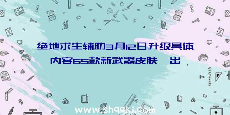 绝地求生辅助3月12日升级具体内容65款新武器皮肤曝出