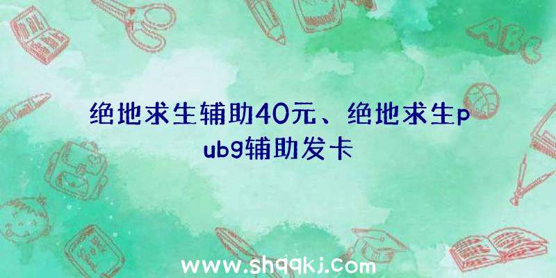 绝地求生辅助40元、绝地求生pubg辅助发卡