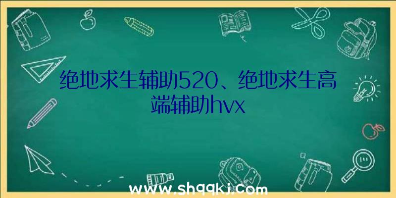 绝地求生辅助520、绝地求生高端辅助hvx