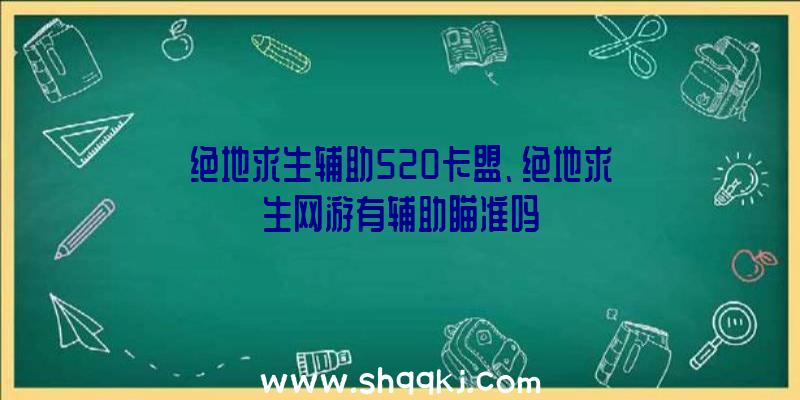 绝地求生辅助520卡盟、绝地求生网游有辅助瞄准吗