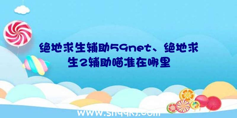 绝地求生辅助59net、绝地求生2辅助瞄准在哪里