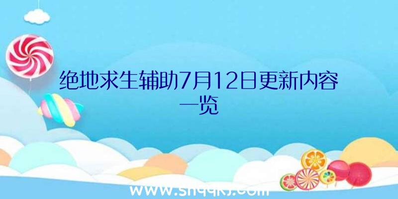 绝地求生辅助7月12日更新内容一览