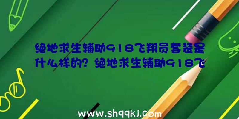 绝地求生辅助918飞翔员套装是什么样的？绝地求生辅助918飞翔员套装外不雅