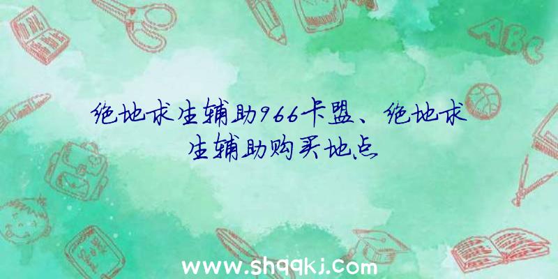 绝地求生辅助966卡盟、绝地求生辅助购买地点