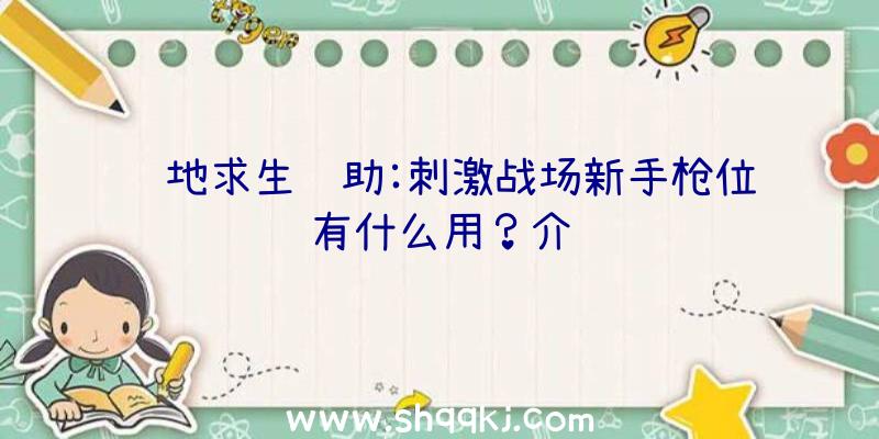 绝地求生辅助:刺激战场新手枪位有什么用？介绍