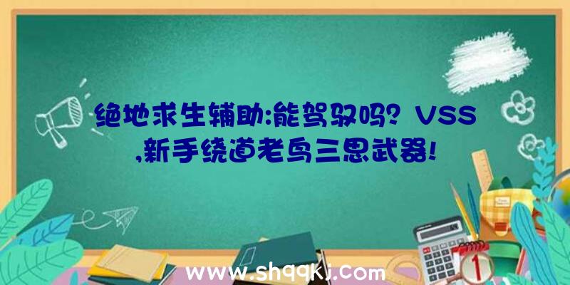 绝地求生辅助:能驾驭吗？VSS,新手绕道老鸟三思武器!