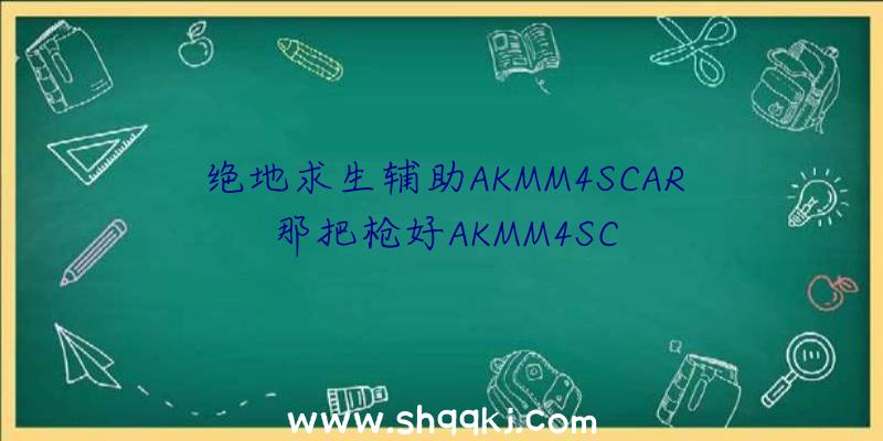 绝地求生辅助AKMM4SCAR那把枪好AKMM4SC