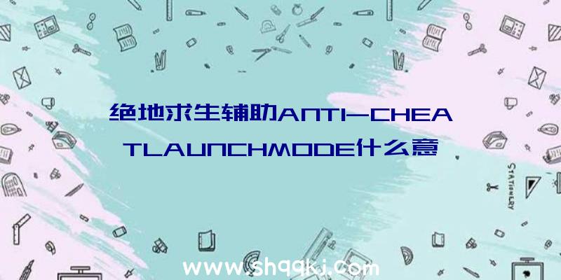 绝地求生辅助ANTI-CHEATLAUNCHMODE什么意