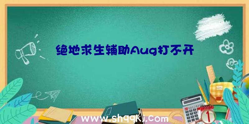 绝地求生辅助Aug打不开