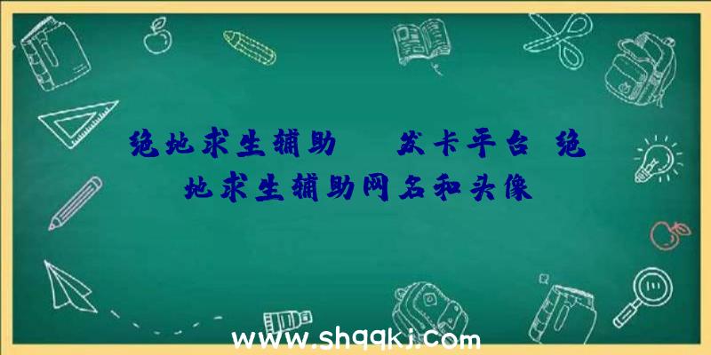 绝地求生辅助DCM发卡平台、绝地求生辅助网名和头像