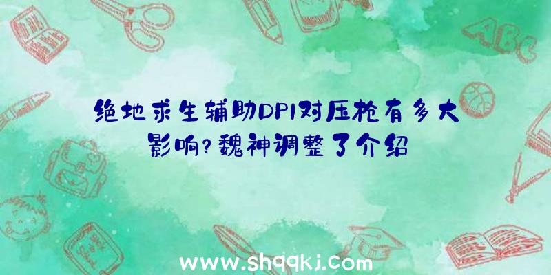 绝地求生辅助DPI对压枪有多大影响？魏神调整了介绍