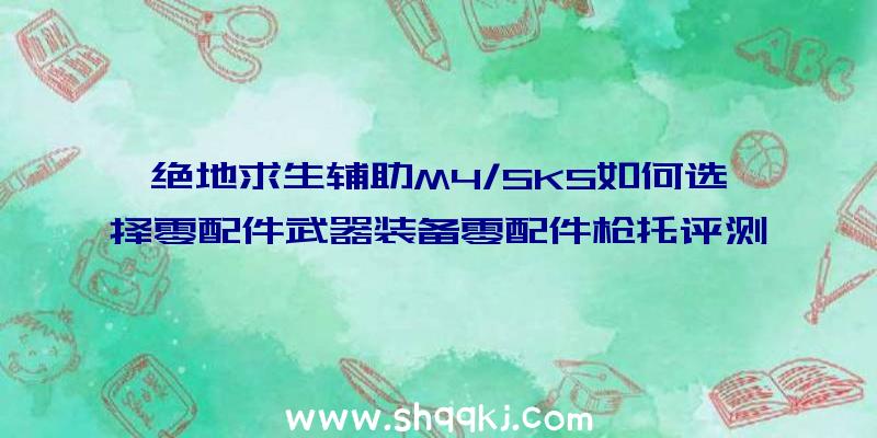 绝地求生辅助M4/SKS如何选择零配件武器装备零配件枪托评测分析