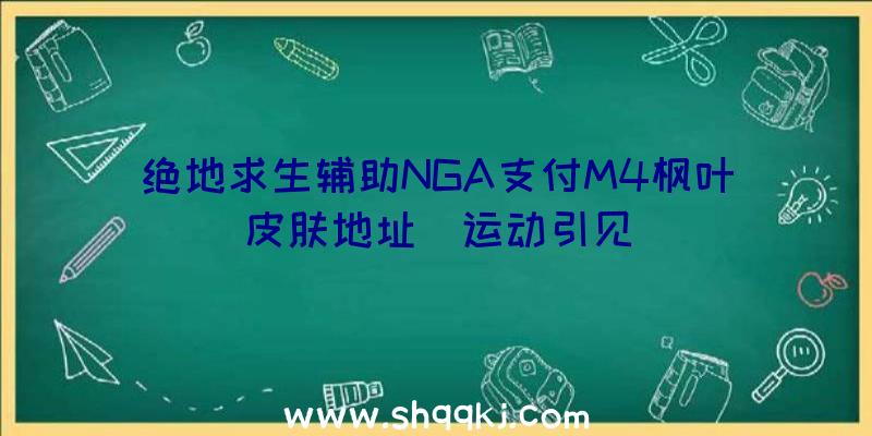 绝地求生辅助NGA支付M4枫叶皮肤地址_运动引见