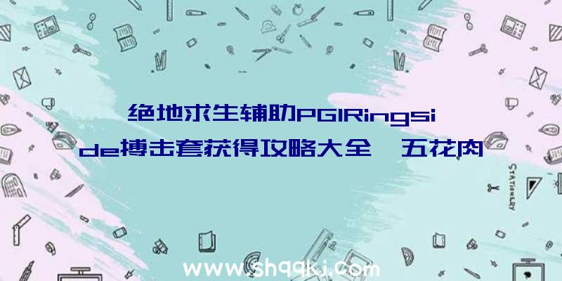 绝地求生辅助PGIRingside搏击套获得攻略大全「五花肉套