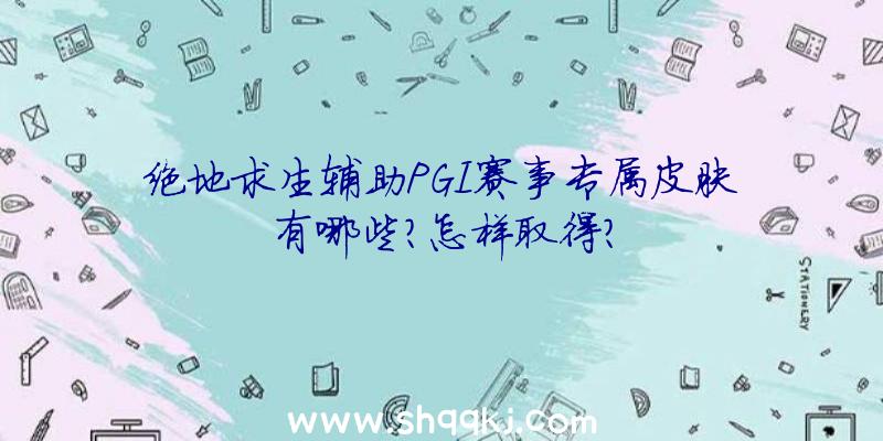 绝地求生辅助PGI赛事专属皮肤有哪些？怎样取得？