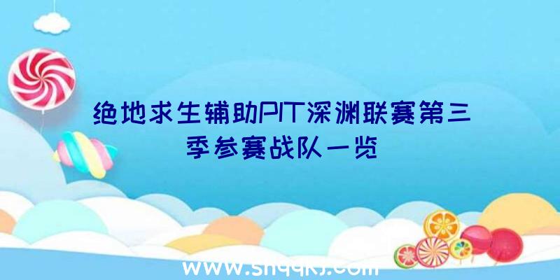 绝地求生辅助PIT深渊联赛第三季参赛战队一览