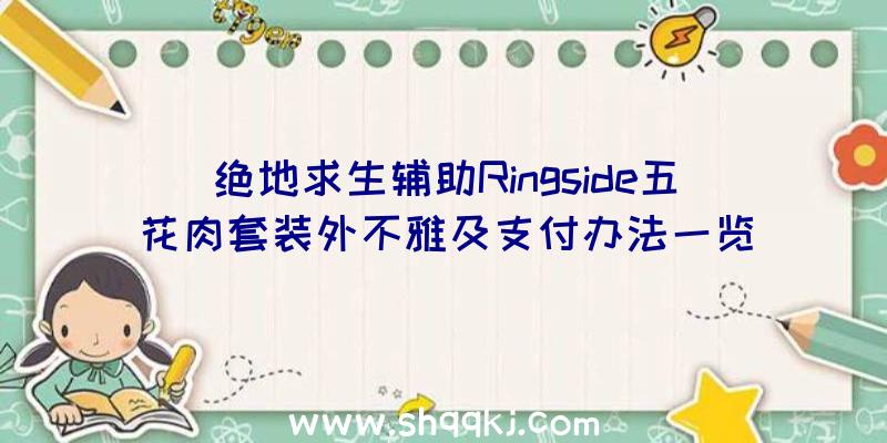 绝地求生辅助Ringside五花肉套装外不雅及支付办法一览