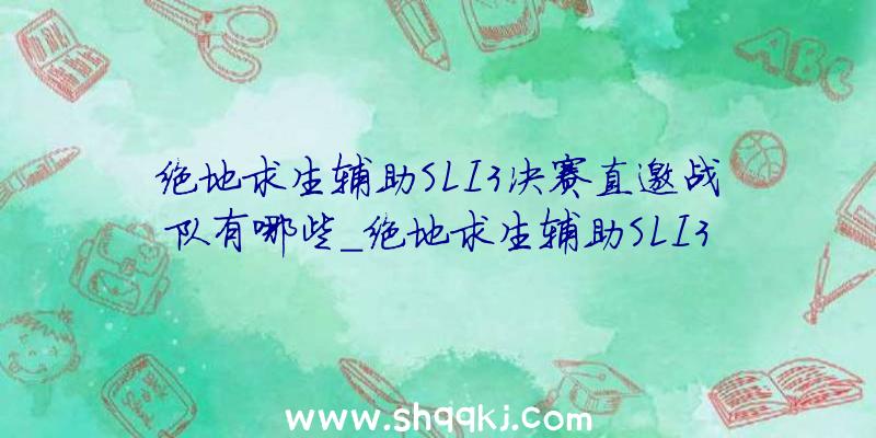 绝地求生辅助SLI3决赛直邀战队有哪些_绝地求生辅助SLI3决赛直邀战队引见