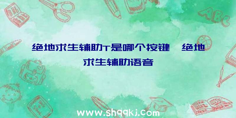 绝地求生辅助T是哪个按键、绝地求生辅助语音