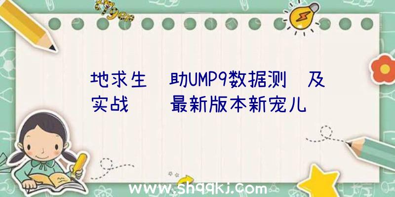 绝地求生辅助UMP9数据测试及实战经验最新版本新宠儿