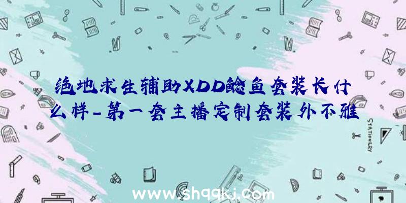 绝地求生辅助XDD鲶鱼套装长什么样-第一套主播定制套装外不雅展现