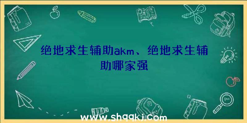 绝地求生辅助akm、绝地求生辅助哪家强